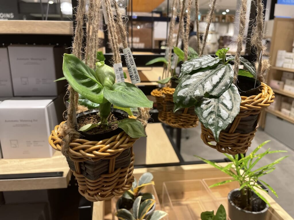 3COINS +plus 新静岡セノバ店