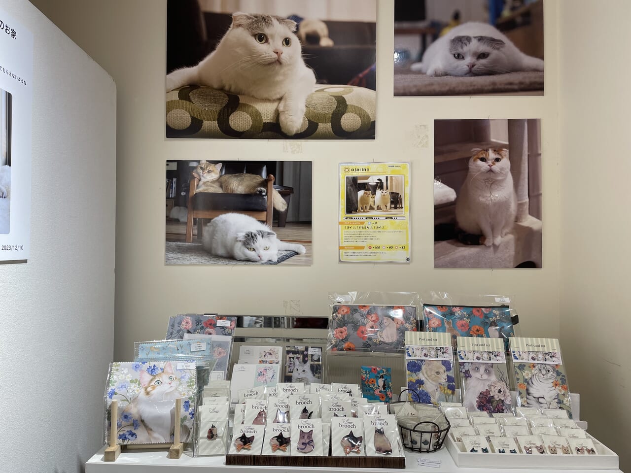 ねこ休み展 2024 in 静岡