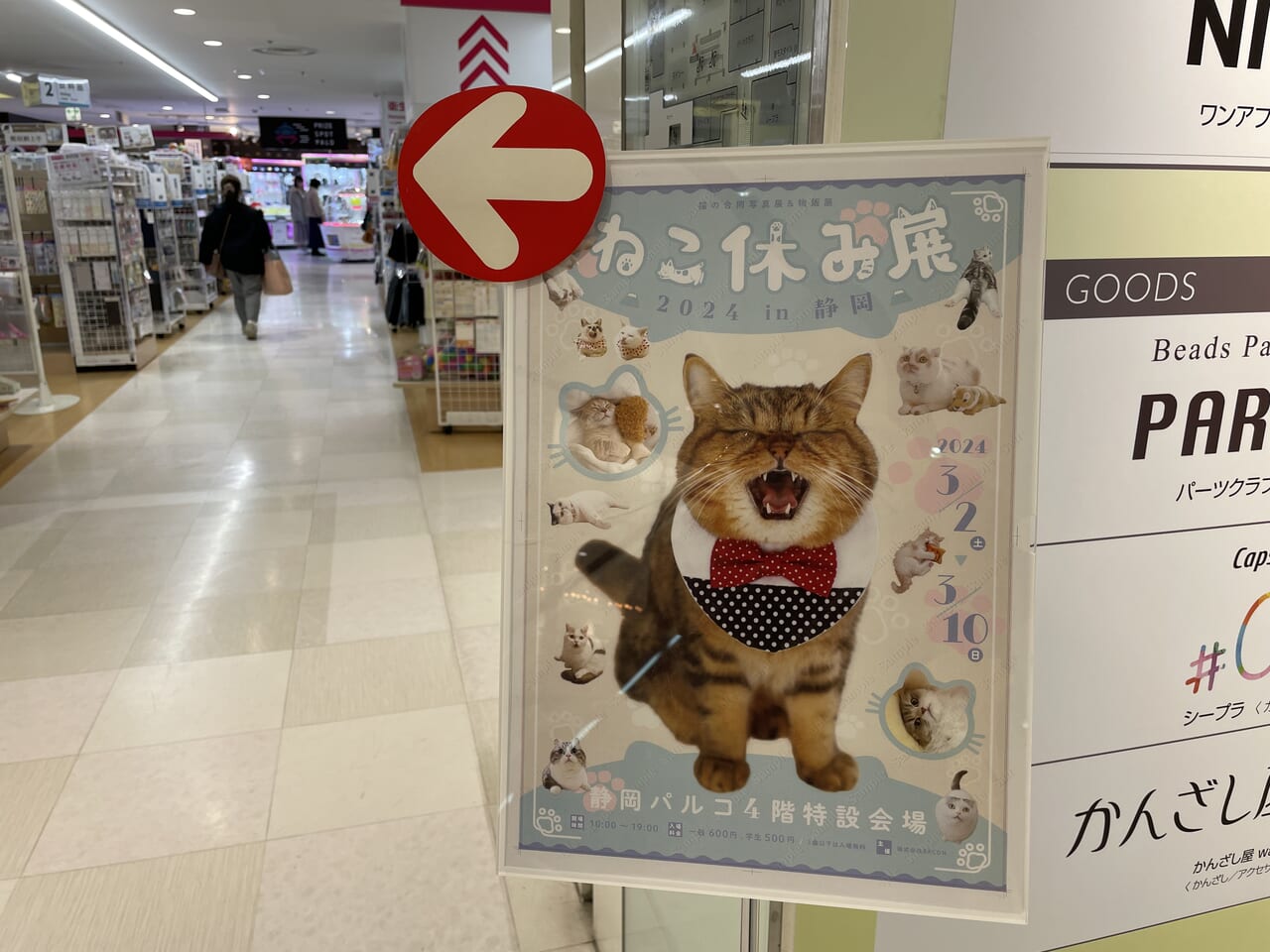 ねこ休み展 2024 in 静岡