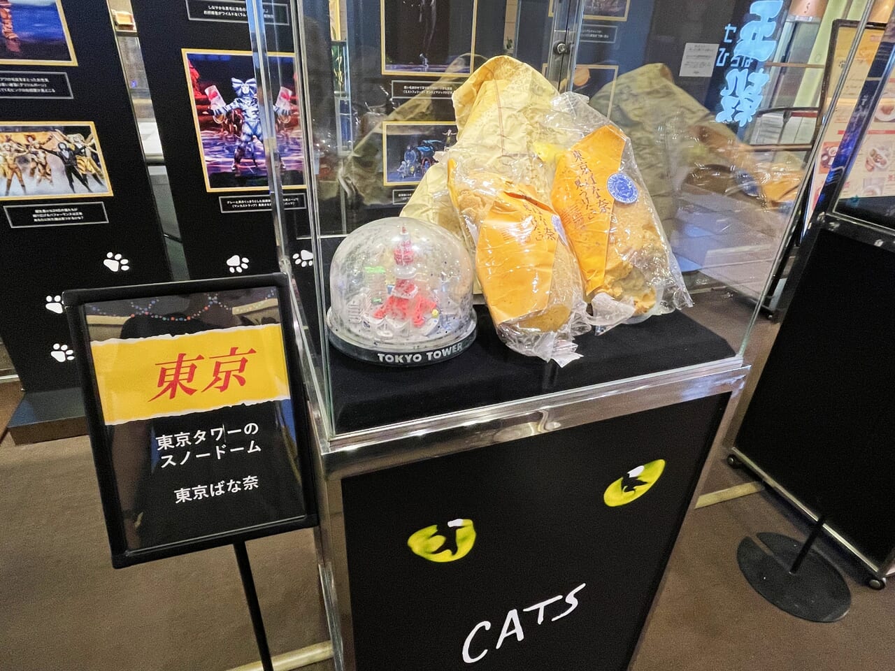 catsshizuoka