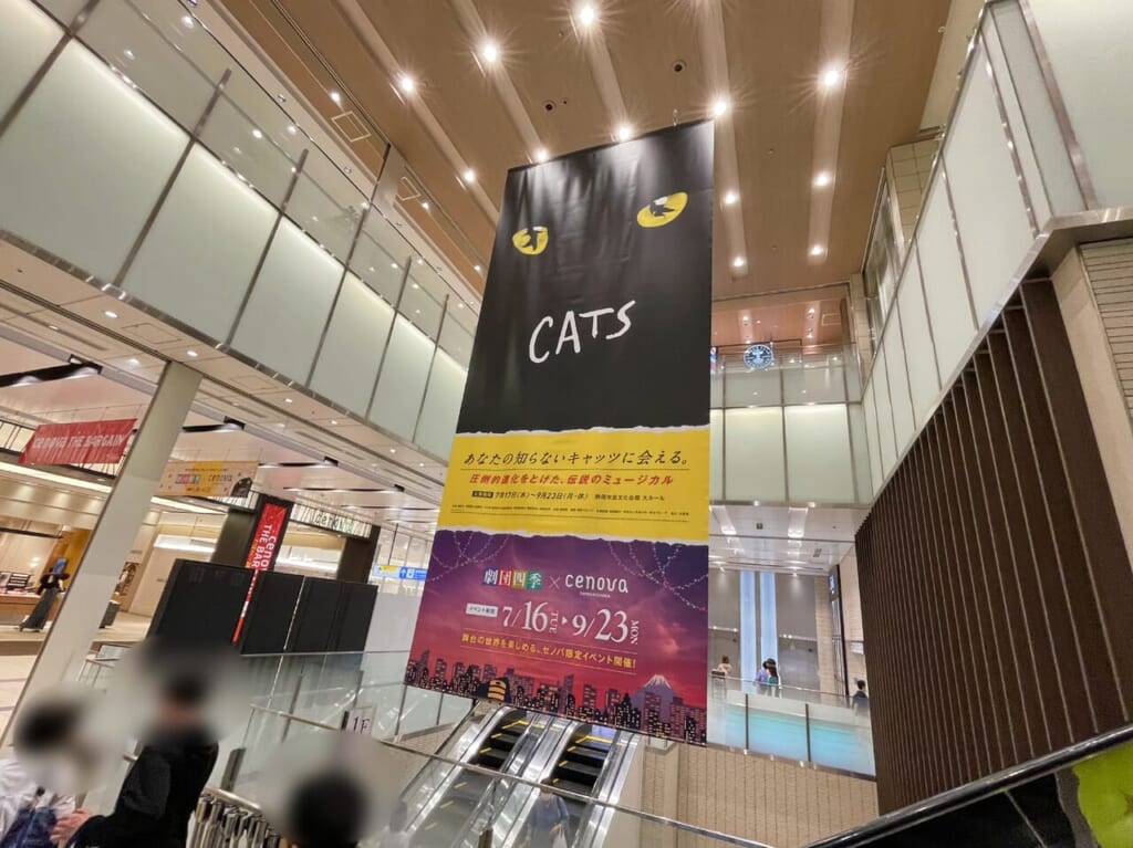 catsshizuoka