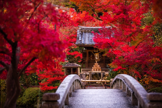 京都展