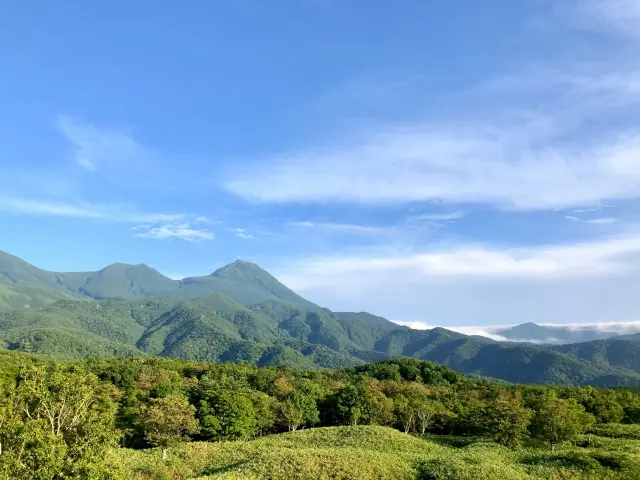 オクシズ森林の市