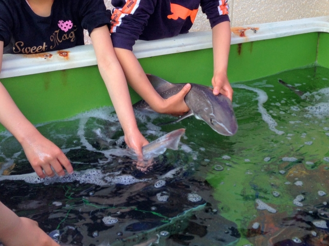 うしづま水辺の楽校