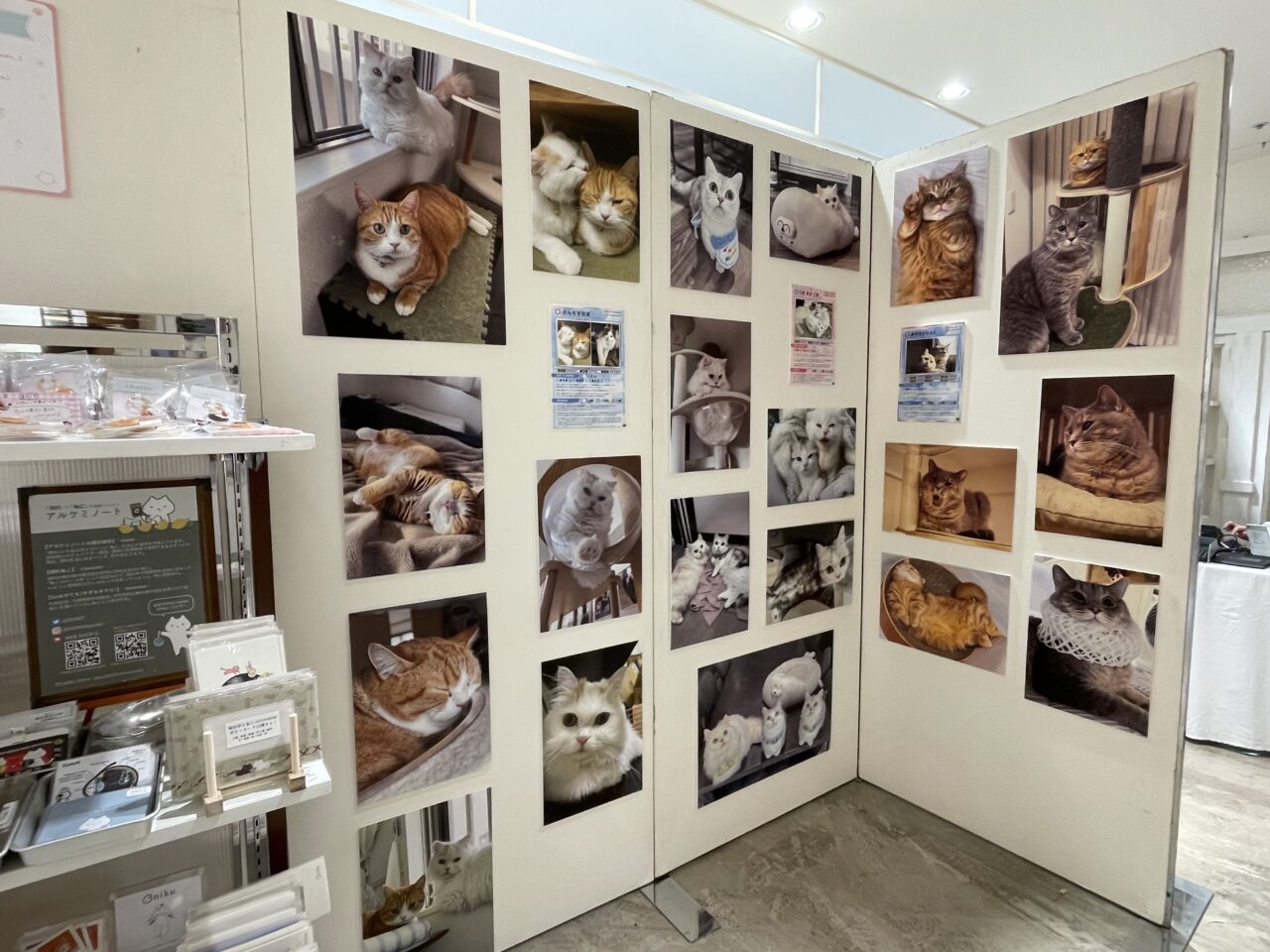 ねこ休み展 2025 in 静岡
