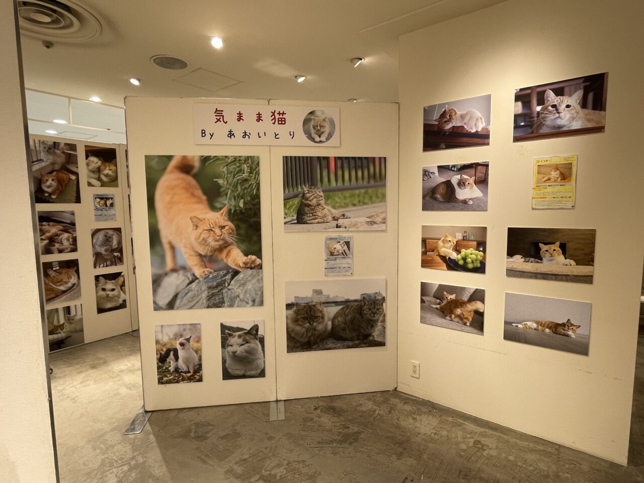 ねこ休み展 2025 in 静岡