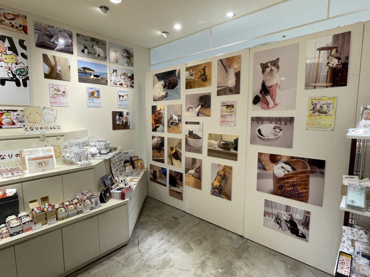 ねこ休み展 2025 in 静岡