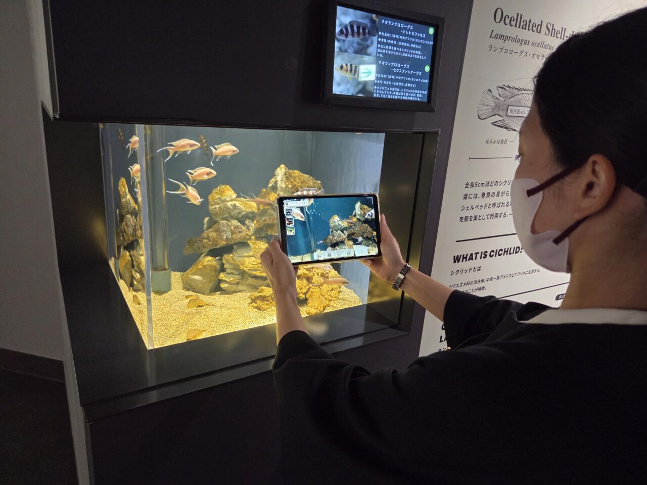 スマートアクアリウム静岡