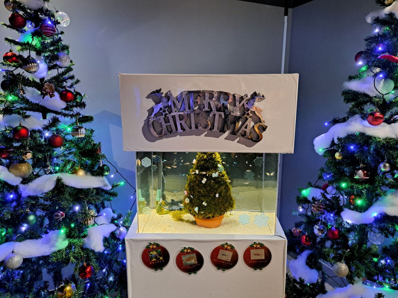 スマートアクアリウム