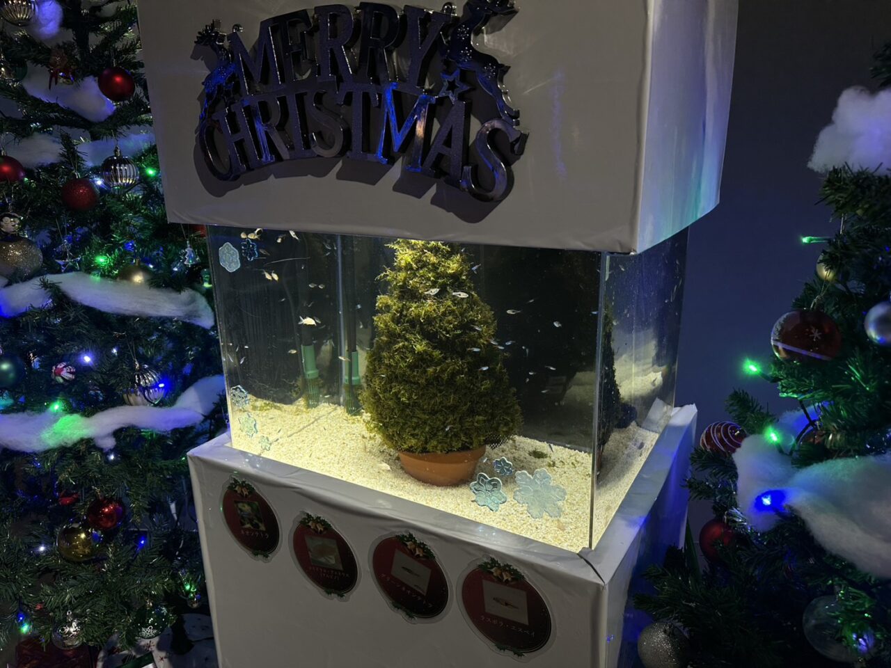 スマートアクアリウム