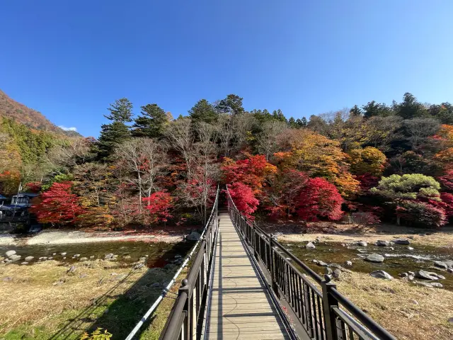 紅葉